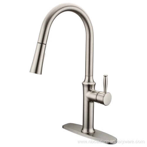 Kitchen Tap With Pull Down Sprayer